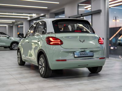Wuling Bingo, 2024
