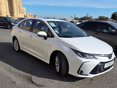 Toyota Corolla, 2025
