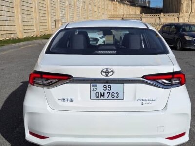 Toyota Corolla, 2025