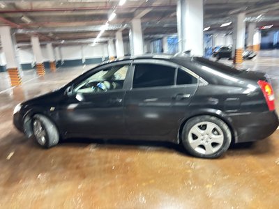 Nissan Primera, 2005