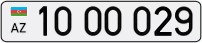 10OO029