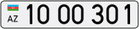 10OO301