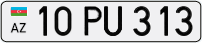 10PU313