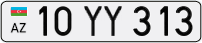 10YY313
