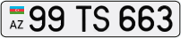 99TS663
