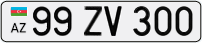 99ZV300